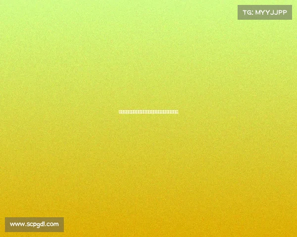 德甲联赛上座率分析及其对球队表现和观众文化的影响